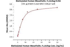 Immobilized A MSLN MAb at 0.