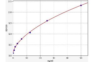 Typical standard curve (SLC2A2 Kit ELISA)