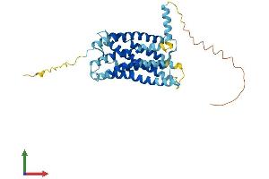 AlphaFold protein structure predicition of Human Recombinant CX3CR1 Protein, UniprotID P49238