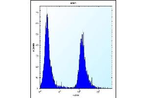 SERPINE1 Antibody (Center) (ABIN656843 and ABIN2846050) flow cytometric analysis of  cells (right histogram) compared to a negative control cell (left histogram).
