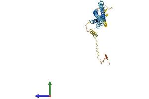 AlphaFold protein structure predicition of Mouse Recombinant Tmem176b Protein, UniprotID Q9R1Q6