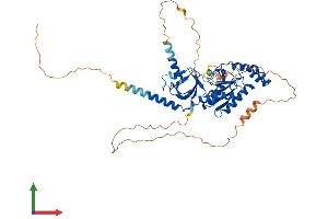AlphaFold protein structure predicition of Mouse Recombinant Cacnb3 Protein, UniprotID P54285