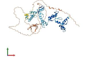 AlphaFold protein structure predicition of Human Recombinant ZNF671 Protein, UniprotID Q8TAW3