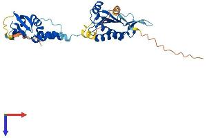 AlphaFold protein structure predicition of Mouse Recombinant Tnfaip1 Protein, UniprotID O70479