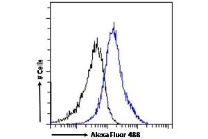 (ABIN302166) Flow cytometric analysis of paraformaldehyde fixed A431 cells (blue line), permeabilized with 0. (CX3CL1 anticorps  (Internal Region))