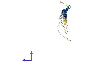 AlphaFold protein structure predicition of Human Recombinant MED22 Protein, UniprotID Q15528