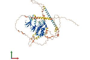 AlphaFold protein structure predicition of Mouse Recombinant Nek5 Protein, UniprotID Q7TSC3