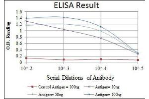 Red: Control Antigen (100 ng), Purple: Antigen (10 ng), Green: Antigen (50 ng), Blue: Antigen (100 ng),