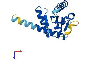 AlphaFold protein structure predicition of Human Recombinant GADD45B Protein, UniprotID O75293