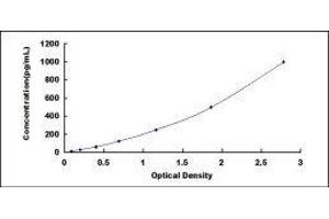 Interleukin 32 (IL32) ELISA Kit
