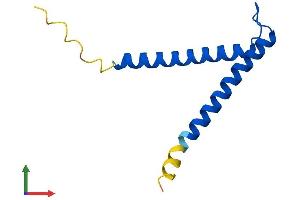 AlphaFold protein structure predicition of Mouse Recombinant Timm8a2 Protein, UniprotID Q4FZG7