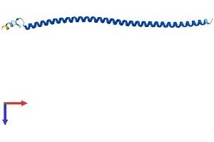 AlphaFold protein structure predicition of Human Recombinant IFT20 Protein, UniprotID Q8IY31