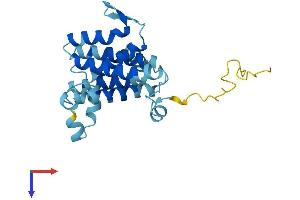 AlphaFold protein structure predicition of Human Recombinant DERL2 Protein, UniprotID Q9GZP9