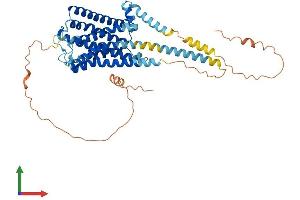 AlphaFold protein structure predicition of Human Recombinant HTR7 Protein, UniprotID P34969