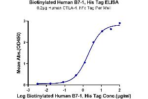 Immobilized Human CTLA-4, hFc Tag at 2 μg/mL (100 μL/well) on the plate.