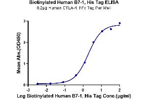Immobilized Human CTLA-4, hFc Tag at 2 μg/mL (100 μL/well) on the plate. (CD80 Protein (CD80) (AA 35-242) (His-Avi Tag,Biotin))