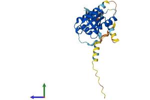 AlphaFold protein structure predicition of Human Recombinant RASL11A Protein, UniprotID Q6T310