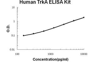 Human TrkA PicoKine ELISA Kit standard curve (TRKA Kit ELISA)