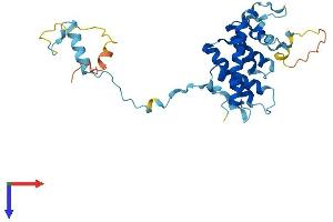 AlphaFold protein structure predicition of Human Recombinant GEMIN2 Protein, UniprotID O14893