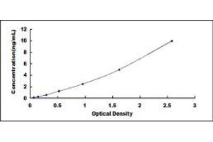 Typical standard curve (IL10RB Kit ELISA)