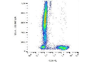 Surface staining of CD5 in human peripheral blood cells with anti-CD5 (L17F12) PE.