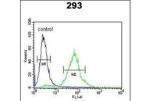 SETD8 Antibody (Center) (ABIN390472 and ABIN2840838) flow cytometric analysis of 293 cells (right histogram) compared to a negative control cell (left histogram). (SETD8 anticorps  (AA 220-249))