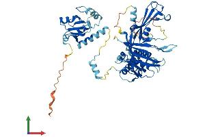 AlphaFold protein structure predicition of Mouse Recombinant Usp22 Protein, UniprotID Q5DU02