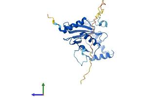 AlphaFold protein structure predicition of Human Recombinant UBE2R2 Protein, UniprotID Q712K3