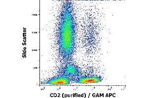 Flow cytometry surface staining pattern of human peripheral blood stained using anti-human CD2 (TS1/8) purified antibody (concentration in sample 4 μg/mL) GAM APC. (CD2 anticorps)