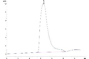 The purity of Human NKG2A/CD159a is greater than 95 % as determined by SEC-HPLC.