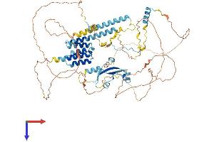 AlphaFold protein structure predicition of Human Recombinant CKAP2 Protein, UniprotID Q8WWK9