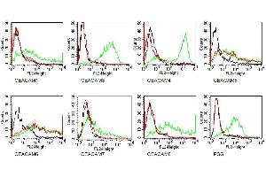 Specificity testing of MUS. (CEACAM5/6 anticorps)