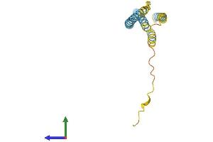 AlphaFold protein structure predicition of Human Recombinant CMTM1 Protein, UniprotID Q8IZ96