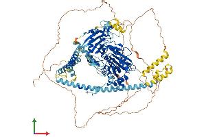 AlphaFold protein structure predicition of Mouse Recombinant Morc1 Protein, UniprotID Q9WVL5