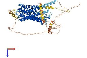 AlphaFold protein structure predicition of Mouse Recombinant Cnr1 Protein, UniprotID P47746
