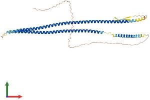 AlphaFold protein structure predicition of Human Recombinant KRT15 Protein, UniprotID P19012