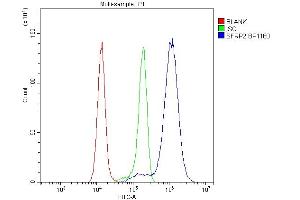 Flow Cytometry analysis of Hela cells using anti-SFRP2 antibody (ABIN7603133).