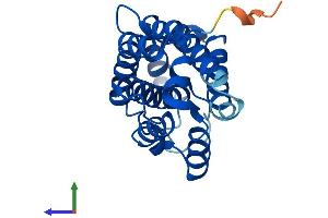 AlphaFold protein structure predicition of Human Recombinant CPTP Protein, UniprotID Q5TA50