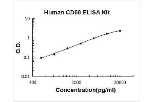 CD58 (CD58) ELISA Kit