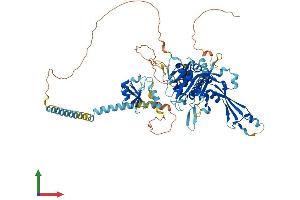AlphaFold protein structure predicition of Human Recombinant USP44 Protein, UniprotID Q9H0E7