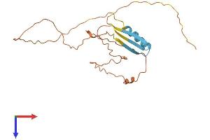 AlphaFold protein structure predicition of Human Recombinant CTAG2 Protein, UniprotID O75638