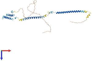 AlphaFold protein structure predicition of Human Recombinant DSN1 Protein, UniprotID Q9H410