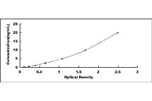 Typical standard curve (AMN Kit ELISA)