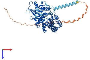AlphaFold protein structure predicition of Human Recombinant ETNK1 Protein, UniprotID Q9HBU6