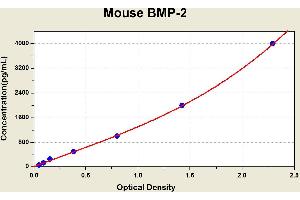 Diagramm of the ELISA kit to detect Mouse BMP-2with the optical density on the x-axis and the concentration on the y-axis. (BMP2 Kit ELISA)