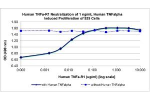 SDS-PAGE of Human Tumor Necrosis Factor Receptor Type 1 Recombinant Protein Bioactivity of Human Tumor Necrosis Factor Receptor Type 1 Recombinant Protein.