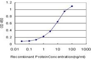 Detection limit for recombinant GST tagged DVL3 is approximately 0.