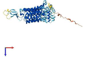 AlphaFold protein structure predicition of Human Recombinant SLC22A8 Protein, UniprotID Q8TCC7