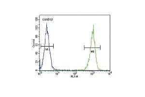LTF Antibody (ABIN652643 and ABIN2842432) flow cytometric analysis of MDA-M cells (right histogram) compared to a negative control cell (left histogram).