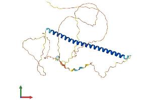 AlphaFold protein structure predicition of Human Recombinant FOSB Protein, UniprotID P53539
